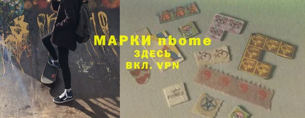 индика Баксан