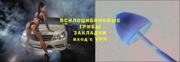 прущие крисы Балабаново