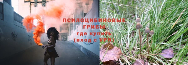 прущие крисы Балабаново