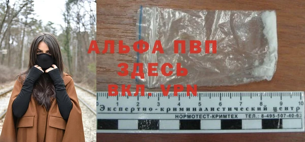 индика Баксан
