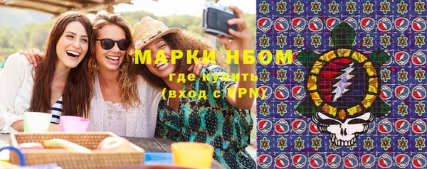 индика Баксан